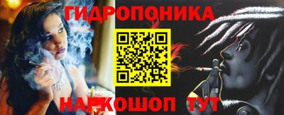 a pvp Аргун