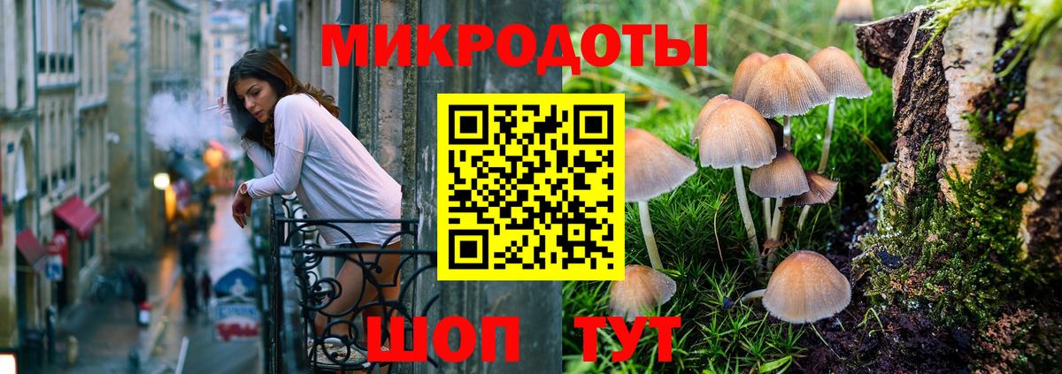 Псилоцибиновые грибы прущие грибы Владивосток